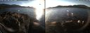 ./images/rivers-inlet/ethel/20181203/ethel20181203_145948.jpg