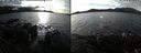 ./images/rivers-inlet/ethel/20181210/ethel20181210_131948.jpg