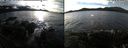 ./images/rivers-inlet/ethel/20181210/ethel20181210_132448.jpg