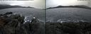 ./images/rivers-inlet/ethel/20181227/ethel20181227_155948.jpg