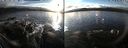 ./images/rivers-inlet/ethel/20190123/ethel20190123_152500.jpg