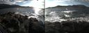 ./images/rivers-inlet/ethel/20190203/ethel20190203_145500.jpg