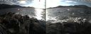 ./images/rivers-inlet/ethel/20190203/ethel20190203_150500.jpg