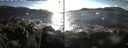 ./images/rivers-inlet/ethel/20190208/ethel20190208_152500.jpg