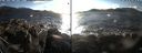 ./images/rivers-inlet/ethel/20190208/ethel20190208_154000.jpg