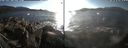 ./images/rivers-inlet/ethel/20190210/ethel20190210_154000.jpg