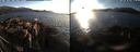 ./images/rivers-inlet/ethel/20190218/ethel20190218_170500.jpg