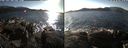 ./images/rivers-inlet/ethel/20190220/ethel20190220_144500.jpg