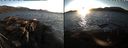 ./images/rivers-inlet/ethel/20190302/ethel20190302_174000.jpg