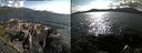 ./images/rivers-inlet/ethel/20190624/ethel20190624_173956.jpg