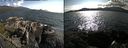 ./images/rivers-inlet/ethel/20190624/ethel20190624_174456.jpg
