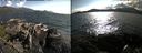 ./images/rivers-inlet/ethel/20190624/ethel20190624_175956.jpg
