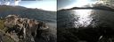 ./images/rivers-inlet/ethel/20190624/ethel20190624_180956.jpg
