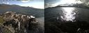 ./images/rivers-inlet/ethel/20190624/ethel20190624_184456.jpg