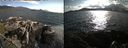 ./images/rivers-inlet/ethel/20190624/ethel20190624_184956.jpg