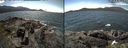 ./images/rivers-inlet/ethel/20190626/ethel20190626_132456.jpg