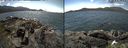 ./images/rivers-inlet/ethel/20190626/ethel20190626_132956.jpg