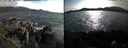 ./images/rivers-inlet/ethel/20190707/ethel20190707_181956.jpg