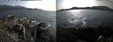 ./images/rivers-inlet/ethel/20190708/ethel20190708_172456.jpg
