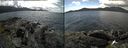 ./images/rivers-inlet/ethel/20190719/ethel20190719_141955.jpg