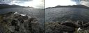./images/rivers-inlet/ethel/20190720/ethel20190720_142955.jpg