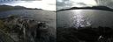 ./images/rivers-inlet/ethel/20190720/ethel20190720_174955.jpg