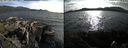 ./images/rivers-inlet/ethel/20190721/ethel20190721_182455.jpg
