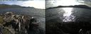 ./images/rivers-inlet/ethel/20190721/ethel20190721_182955.jpg