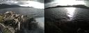 ./images/rivers-inlet/ethel/20190723/ethel20190723_192455.jpg