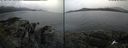 ./images/rivers-inlet/ethel/20190730/ethel20190730_132954.jpg