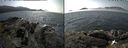./images/rivers-inlet/ethel/20190803/ethel20190803_135954.jpg