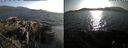 ./images/rivers-inlet/ethel/20190804/ethel20190804_185454.jpg