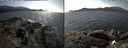 ./images/rivers-inlet/ethel/20190805/ethel20190805_142454.jpg