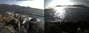 ./images/rivers-inlet/ethel/20190805/ethel20190805_174454.jpg