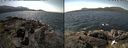./images/rivers-inlet/ethel/20190806/ethel20190806_131954.jpg