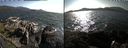 ./images/rivers-inlet/ethel/20190806/ethel20190806_172454.jpg