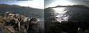./images/rivers-inlet/ethel/20190806/ethel20190806_174454.jpg