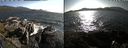 ./images/rivers-inlet/ethel/20190806/ethel20190806_175454.jpg