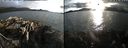 ./images/rivers-inlet/ethel/20190827/ethel20190827_192453.jpg