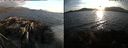 ./images/rivers-inlet/ethel/20190829/ethel20190829_193953.jpg