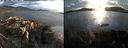 ./images/rivers-inlet/ethel/20190831/ethel20190831_193953.jpg