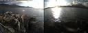 ./images/rivers-inlet/ethel/20190922/ethel20190922_174951.jpg