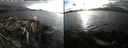 ./images/rivers-inlet/ethel/20190926/ethel20190926_180951.jpg
