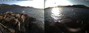 ./images/rivers-inlet/ethel/20191008/ethel20191008_174451.jpg