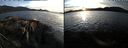 ./images/rivers-inlet/ethel/20191010/ethel20191010_181451.jpg