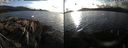 ./images/rivers-inlet/ethel/20191013/ethel20191013_172451.jpg