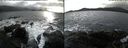 ./images/rivers-inlet/ethel/20191017/ethel20191017_145951.jpg