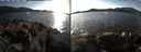 ./images/rivers-inlet/ethel/20191026/ethel20191026_152450.jpg