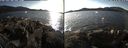 ./images/rivers-inlet/ethel/20191026/ethel20191026_152950.jpg