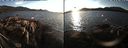 ./images/rivers-inlet/ethel/20191026/ethel20191026_172950.jpg